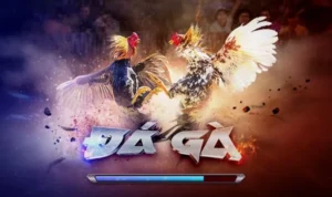 Đá Gà 3D tại King88