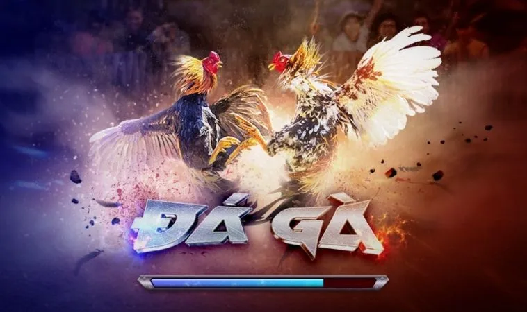 Đá Gà 3D tại King88