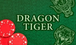 Dragon Tiger King88